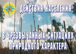 Если ураган застал Вас в здании, отойдите от окон и займите безопасное место у стен внутренних помещений, в коридоре, у встроенных шкафов, в ванных комнатах, туалете, кладовых, в прочных шкафах, под столами. Погасите огонь в печах, отключите электроэнергию, закройте краны на газовых сетях. В темное время суток используйте фонари, лампы, свечи; включите радиоприемник для получения […]